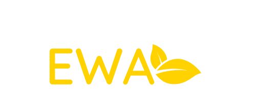 Sprząta Ewa - Sprzątanie Domów, Mieszkań i Biur Częstochowa